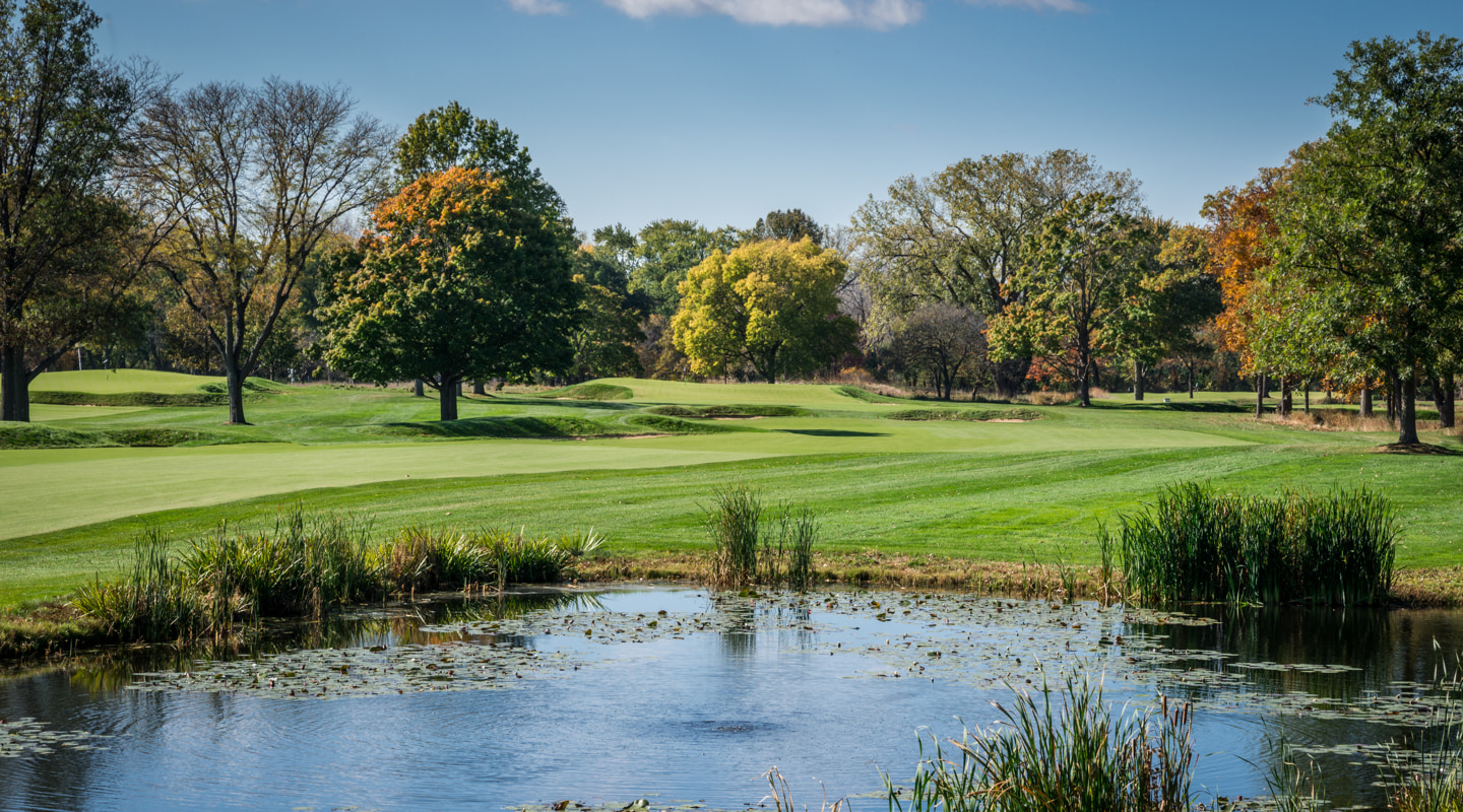 The drive at Ross's two-shot 1st is demanding The drive at Ross's two-shot 1st is demanding