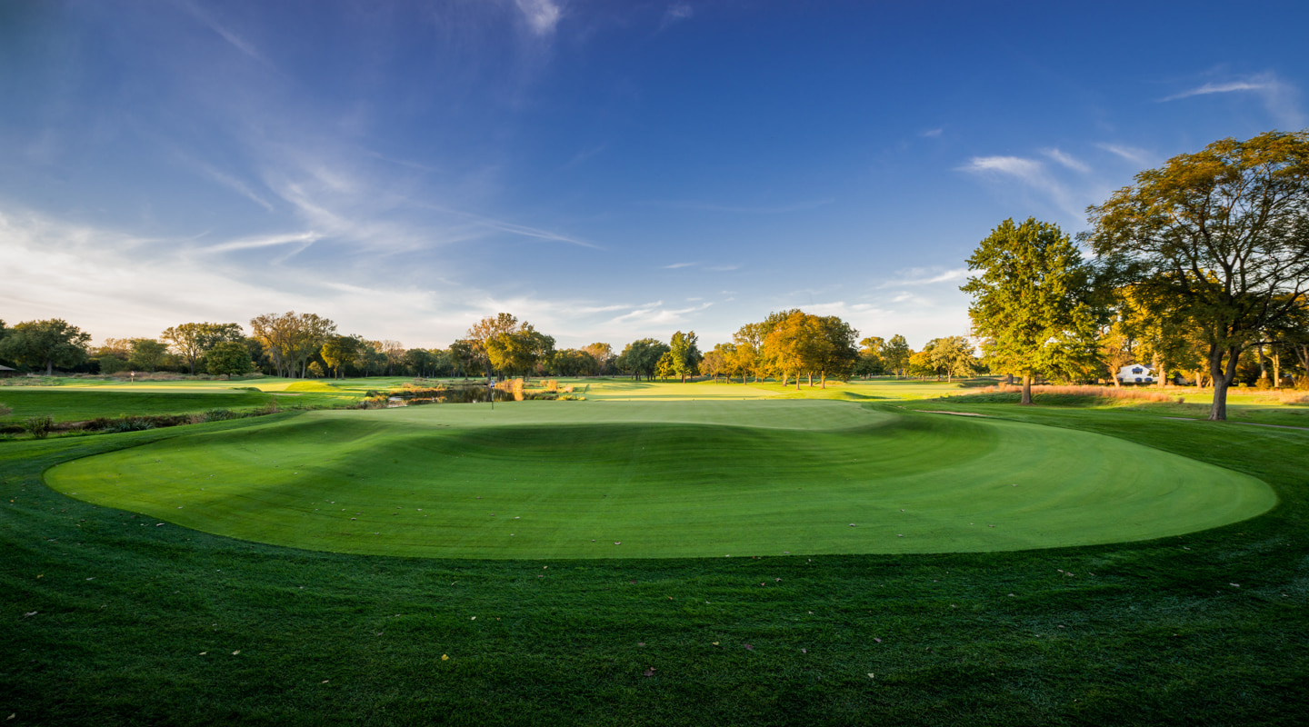 Classy surrounds behind the 11th green Classy surrounds behind the 11th green